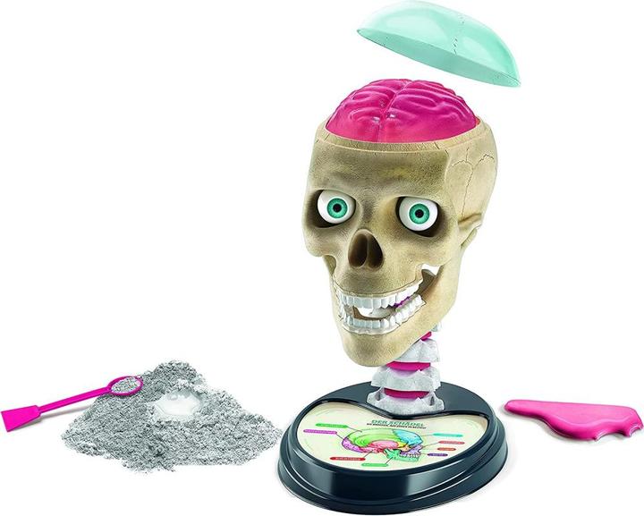 Image du produit Clementoni Anatomie folle D