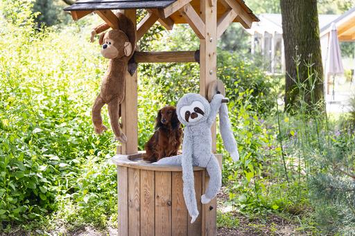 Actual product image Beeztees Dog toy plush sloth Mees (Plush toy dog)