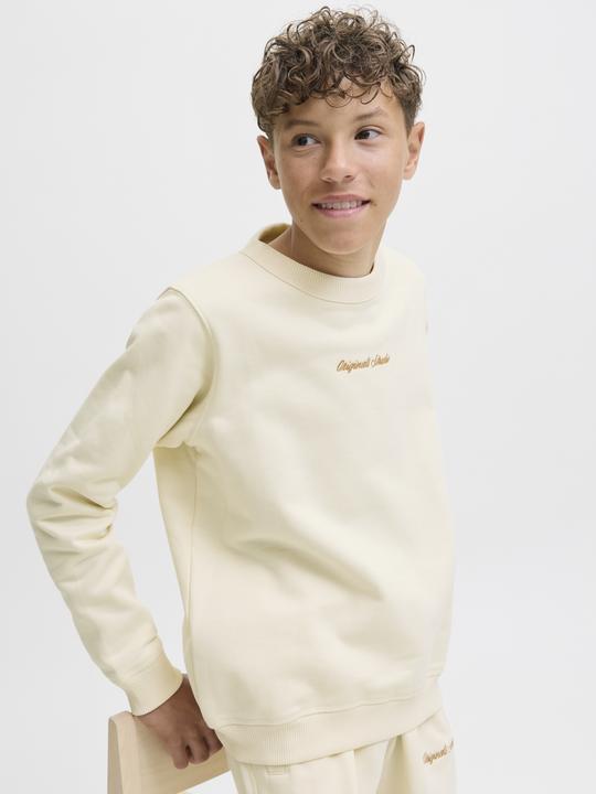 Produktbild Jack & Jones Jornorrebro Emb Sweat Crew Noos Jnr (128)