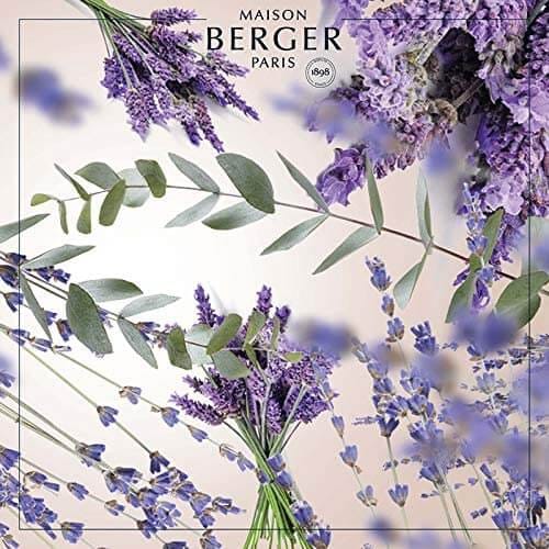 Actual product image Maison Berger Fragrance Champs de Lavande (1000 ml)