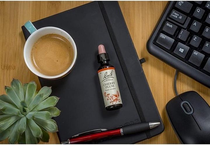 Actual product image Bach Nelson Homeopathics Flower Cherry Plum 50ml (50 ml)