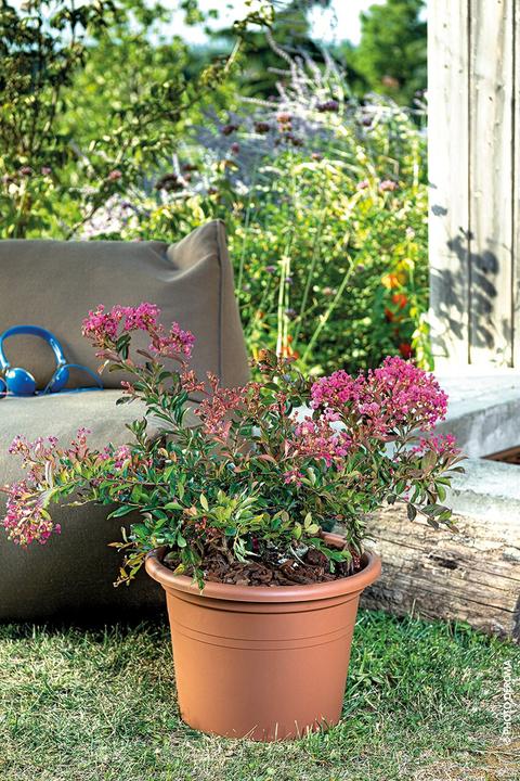 Actual product image Deroma Day R (45 cm)