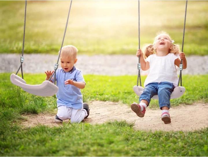 Actual product image Axi Double Metal Swing