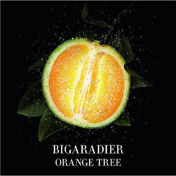 Immagine prodotto Giorgio Armani Orangerie Venise (Eau de toilette, 50 ml)