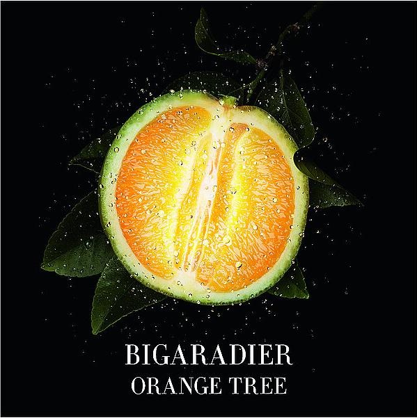 Actual product image Giorgio Armani Orangerie Venise (Eau de toilette, 50 ml)