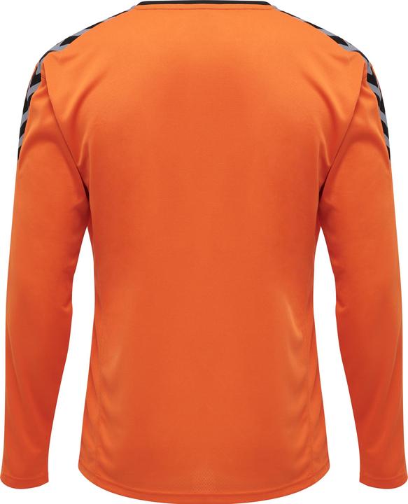 Image du produit hummel Authentic Poly Jersey L/S (S)