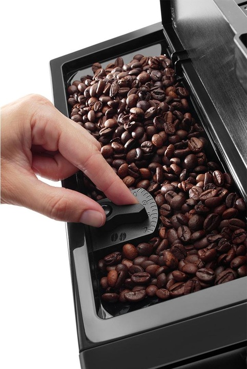 Actual product image De'Longhi Perfecta Evo