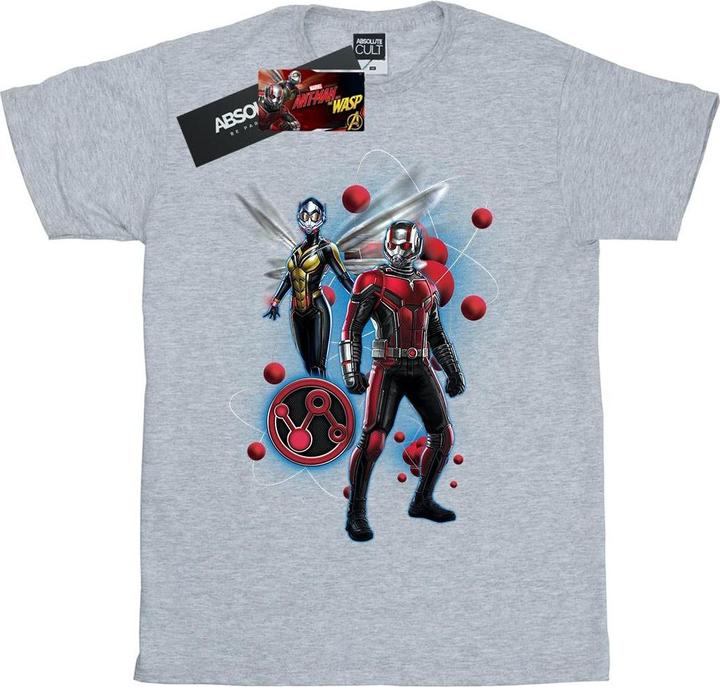 Actual product image Mens Ant-Man And The Wasp Particle Pose T-Shirt (XXL)