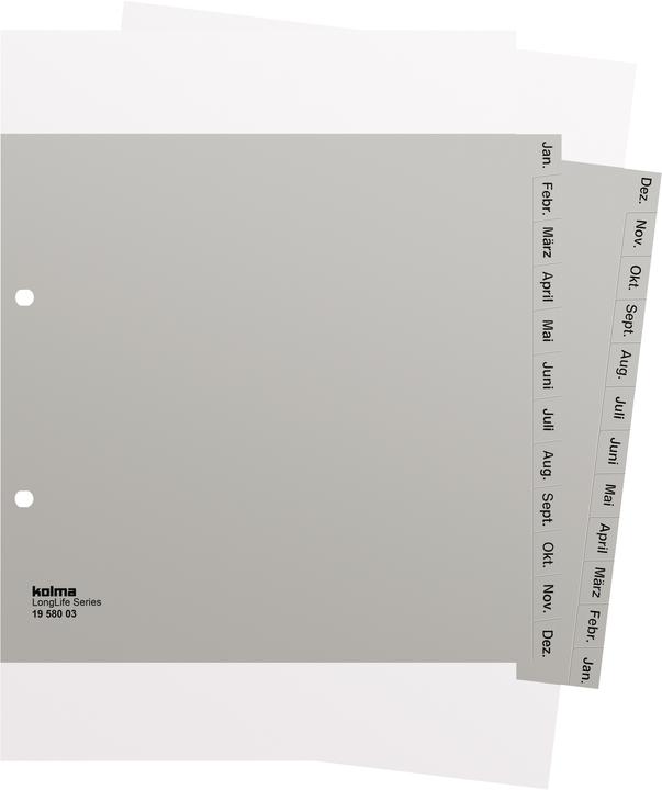 Image du produit Kolma Intercalaire A4 partiellement couvrant Jan-Dec (fr) 12 pcs. gris