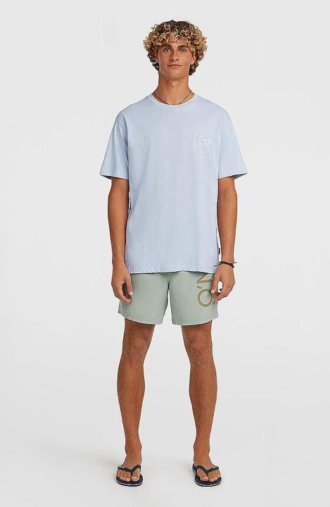 Actual product image O'Neill Cali 16" Swimshorts (L)