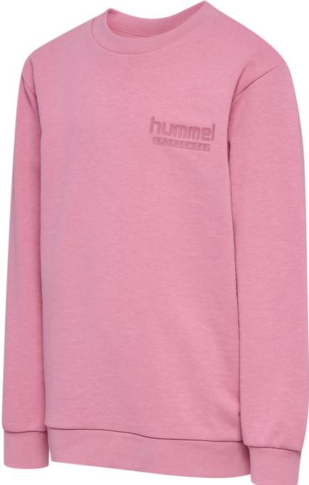 Image du produit hummel hmlJR BASE SWEAT SET (152)