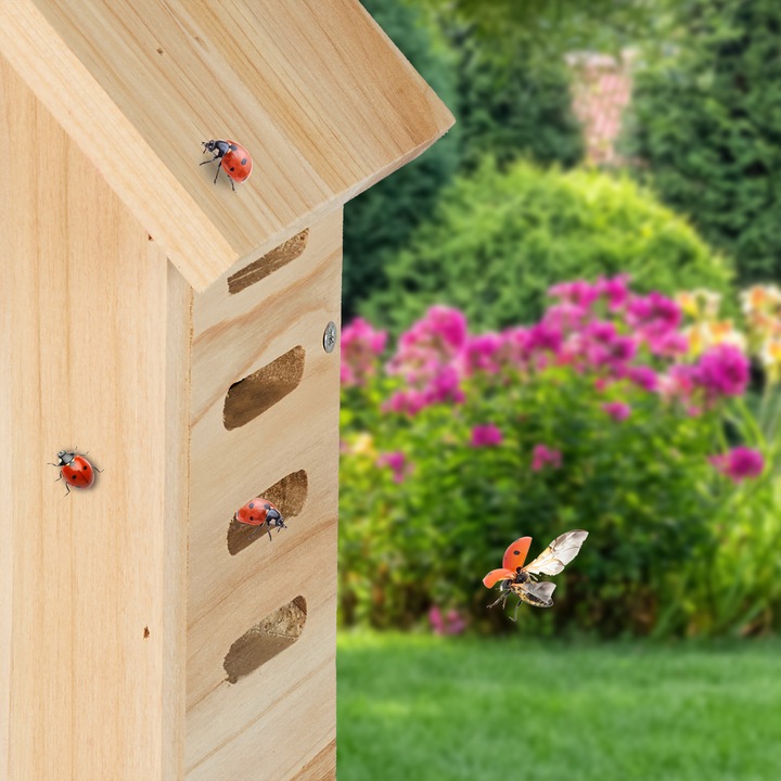Actual product image Relaxdays ladybird house (Ladybirds)
