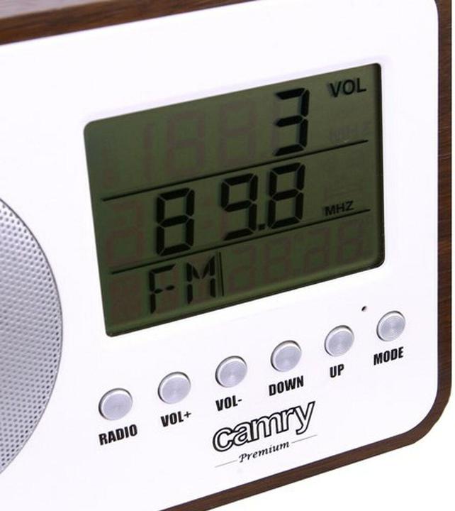 Actual product image Camry CR 1153 (FM)
