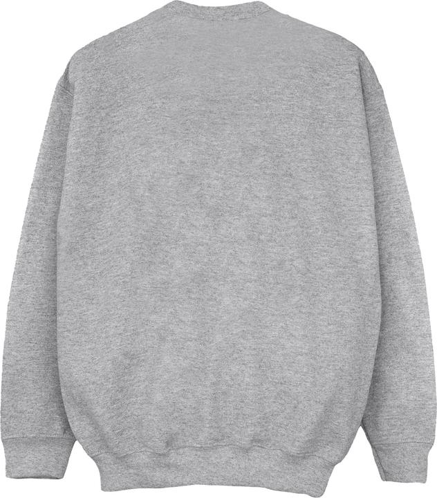 Produktbild Disney Encanto My Best Self Sweatshirt Mädchen (152, 158)