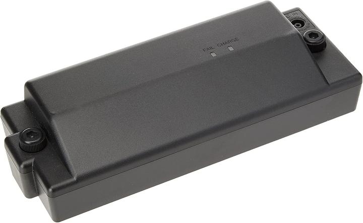 Immagine prodotto Roland Batteria BTY-NIMH/A (Batteria dello strumento)