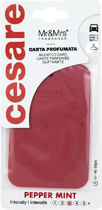 Image du produit Mr & Mrs Fragrance Scented Card Pefferminz