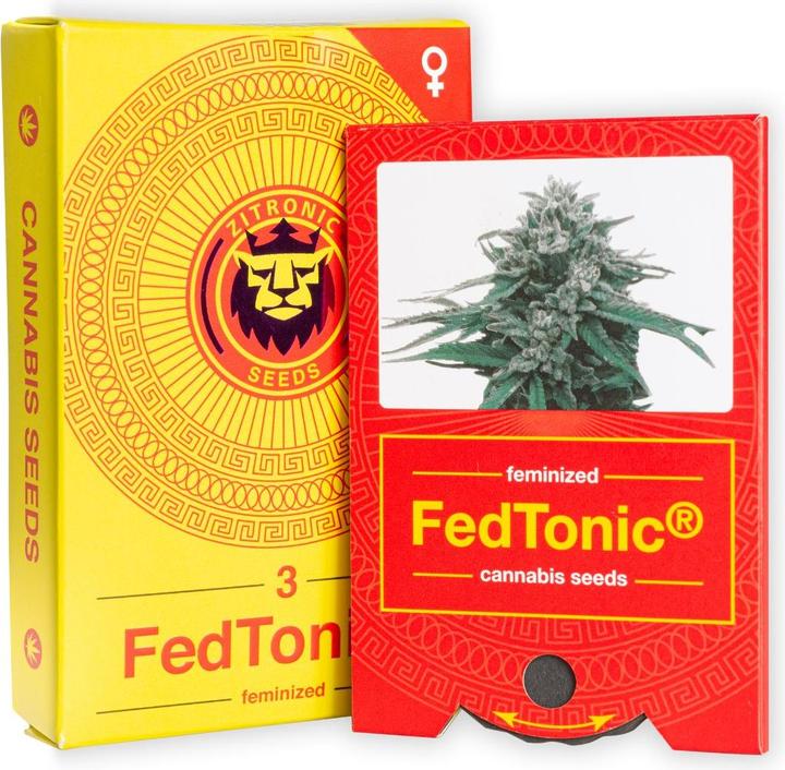 Produktbild JYM's Fedtonic CBD Seeds 3 Stk (Pflanzensamen)
