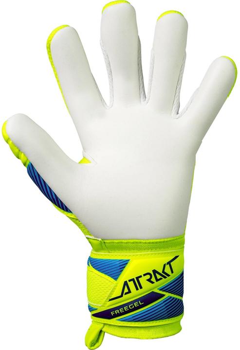Actual product image Reusch Torwarthandschuh Attrakt Freegel Advance Junior 8 (8)
