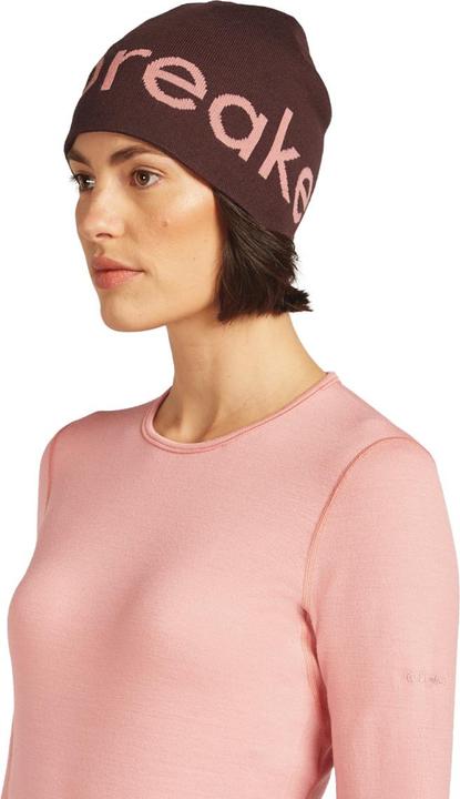 Image du produit Icebreaker Unisex Merino Beanie