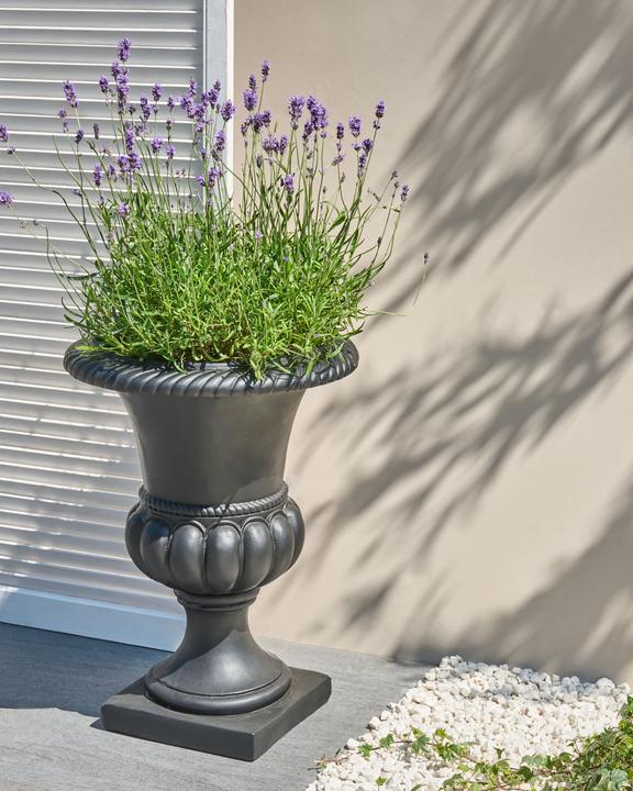 Image du produit Beliani Kair (42 x 42 x 58 cm)