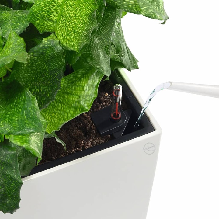 Immagine prodotto Lechuza Cubico (22 cm)