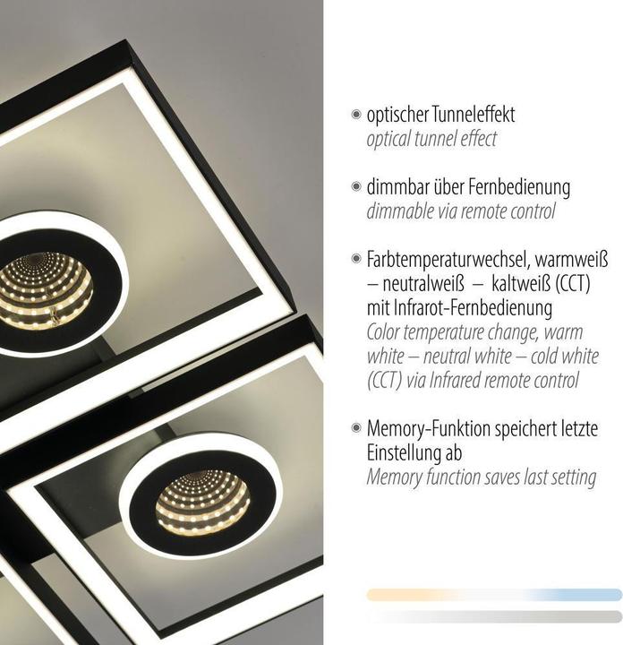 Actual product image Paul Neuhaus Traforo (250 lm)