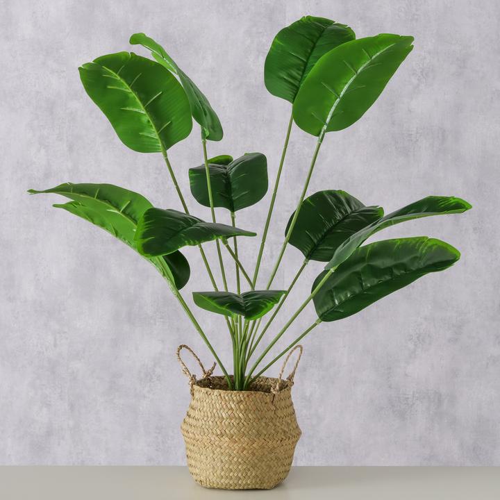 Immagine prodotto Boltze Home Topfpflanze (68 cm)