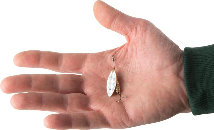 Immagine prodotto Caperlan Spinner olografico n. 1