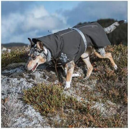 Produktbild Hurtta Wintermantel Extreme Warmer 2 (60, L, Hundemantel)