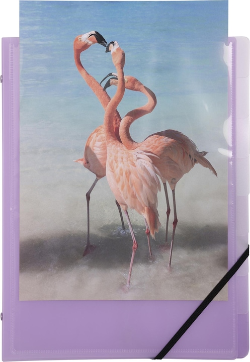 Actual product image Exacompta Crea (A4, 1 x)