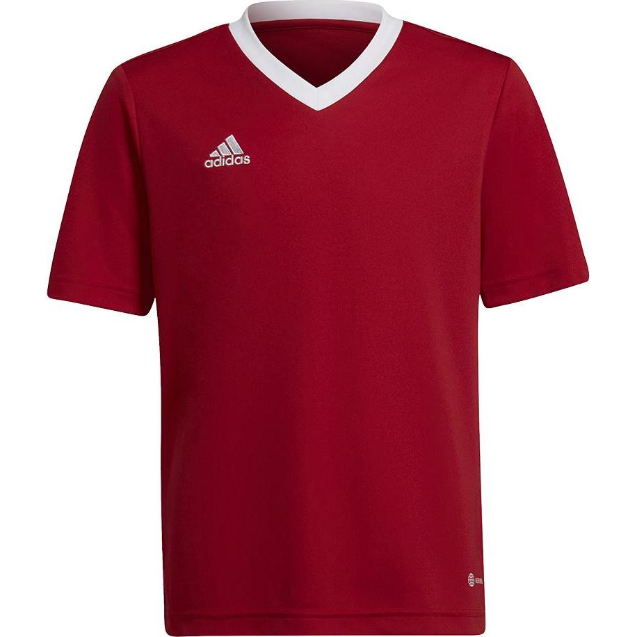 adidas, Jungen, Sportshirt, Entrada 22 Trikot (152), Blau, 152