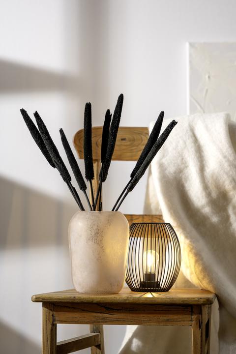 Produktbild Leonardo Trogolo (1x, 6.79 l)