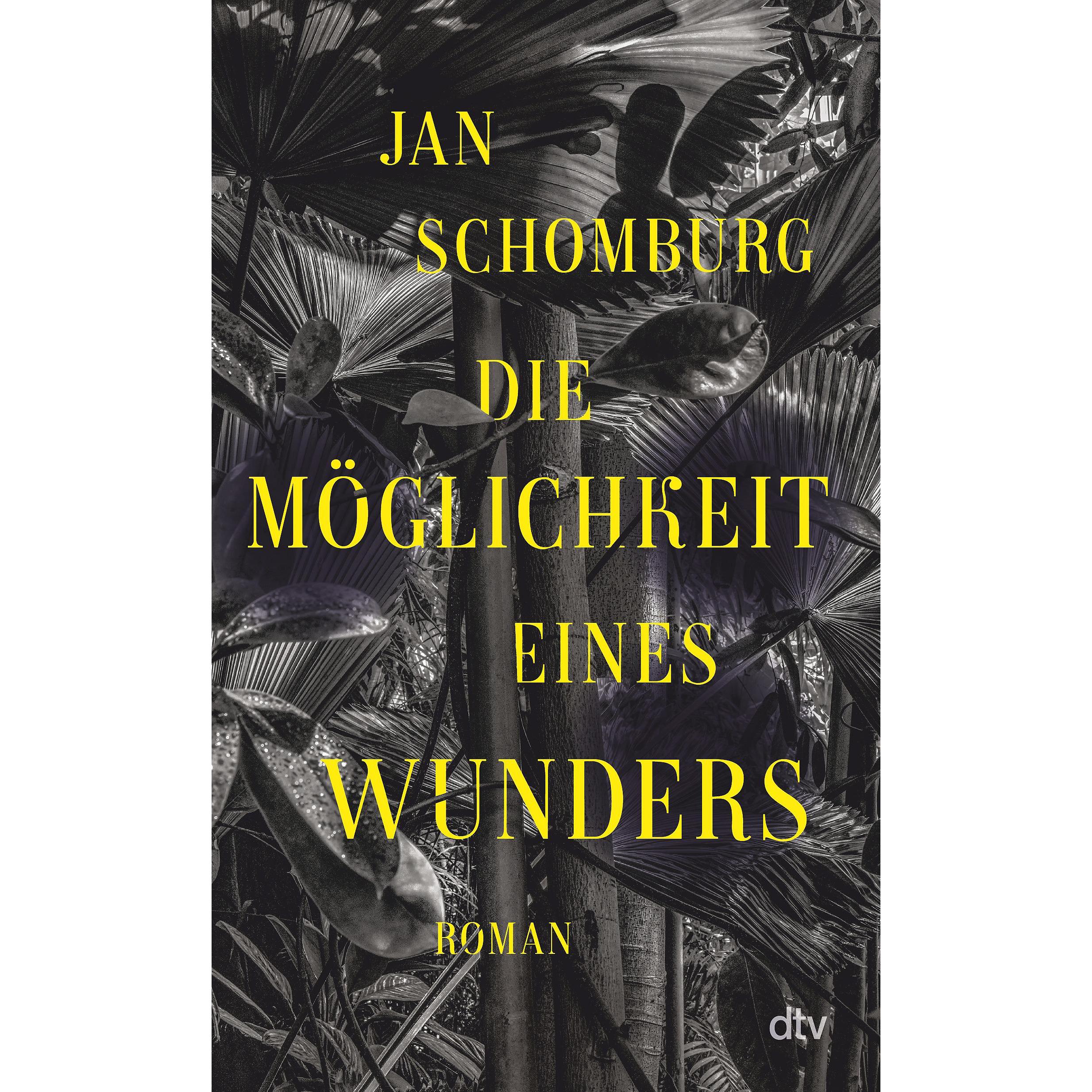 Die Möglichkeit eines Wunders, Belletristik von Jan Schomburg