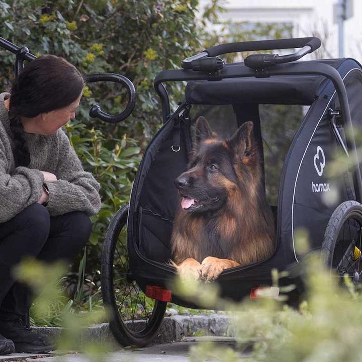 Actual product image hamax Pluto L