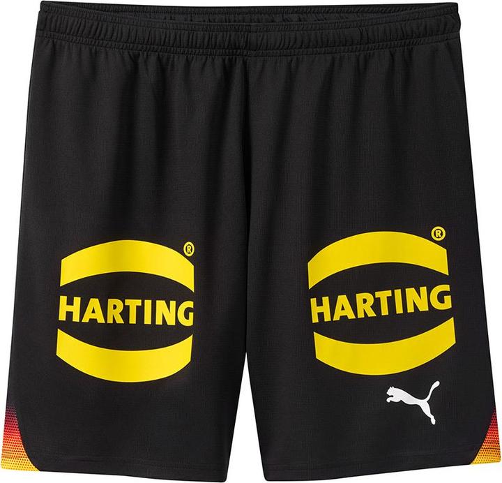 Produktbild Puma DHB Handball Shorts (S)