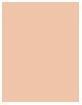 Actual product image L'Oréal Paris perfect match (1C Rose Ivory)