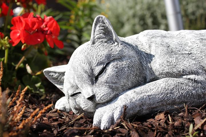 Image du produit Stoneandstyle Schlafende Katze