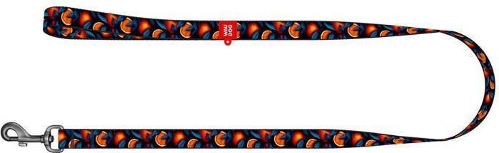 Image du produit Waudog Longe en nylon pour chien, modèle 'Oranges' longueur 122 cm (Chien, Promenade)