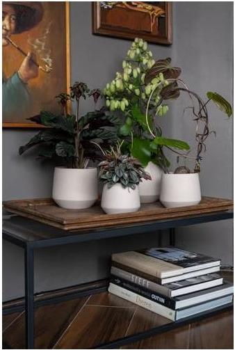 Produktbild Pottery Pots Julia S (13 x 13 cm)