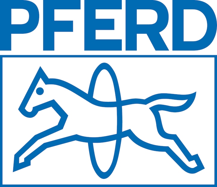 Produktbild Pferd Nadelfeile CORRADI Länge 160 mm Hieb SH1 DH2 flachstumpf Angel-Ø 3,25 mm (Hieb 1, 160 mm)