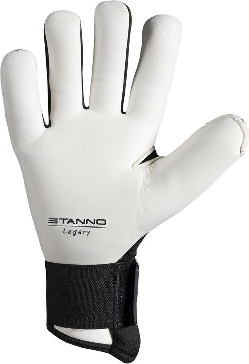 Actual product image Stanno Legacy Ltd