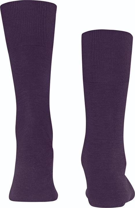 Produktbild Falke Airport (Einzelpack, 41 - 42)