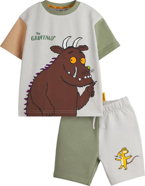 Actual product image The Gruffalo Boys Colour Block T-Shirt & Shorts Set (104)