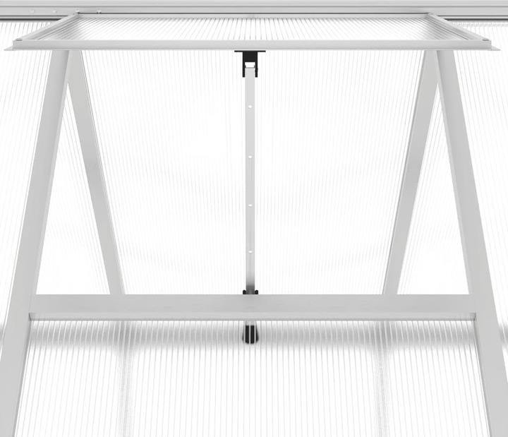 Produktbild vidaXL Gewächshaus