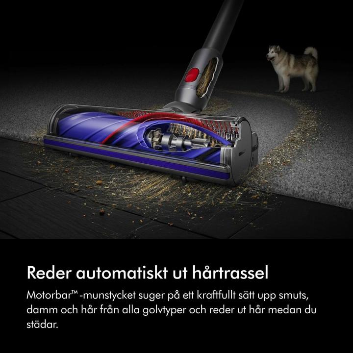 Actual product image Dyson V8 Advanced