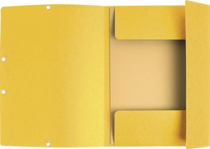 Produktbild Exacompta Sammelmappe A4 - 3 Klappen (A4, 1x)