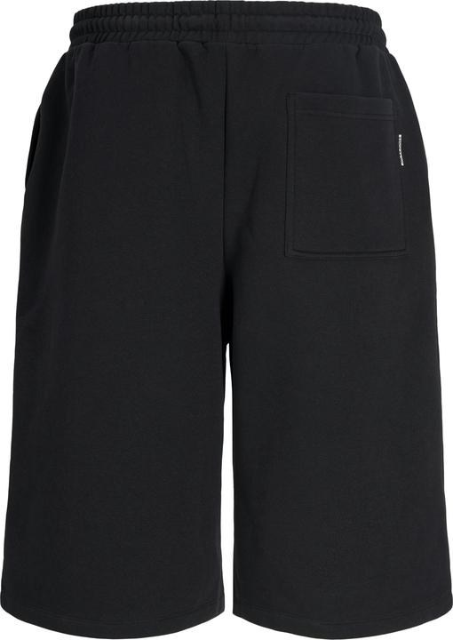Image du produit Jack & Jones Jpstowen Falls Sweat Shorts (L)