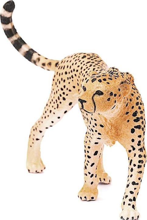 Produktbild Schleich Gepard weibliche