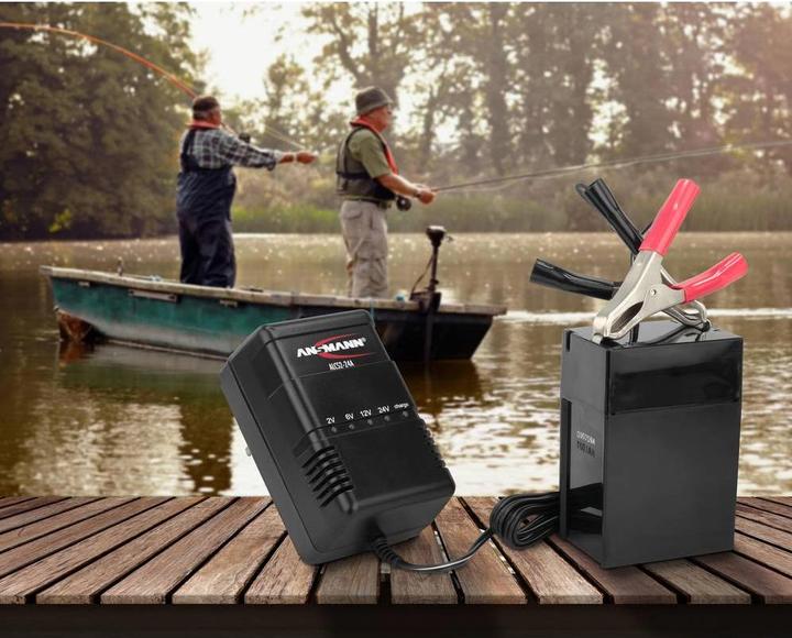 Actual product image Ansmann Quick charger, single 220 V, 1 hour standard CP/DP1000 series