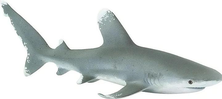 Image du produit Safari Requin océanique à pointe blanche